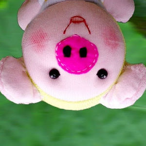 Meet your Posher, Grace